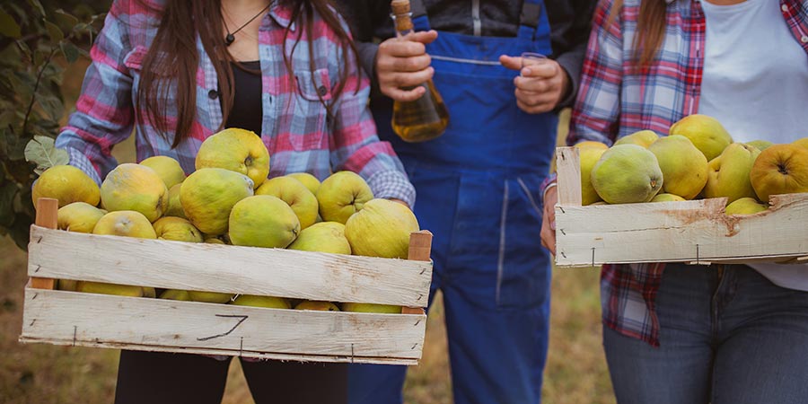 Enjoying a tasting at an authentic Somerset cider farm