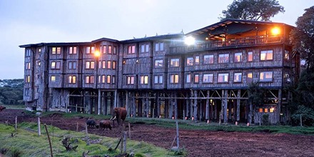 Treetops Lodge, Aberdare National Park